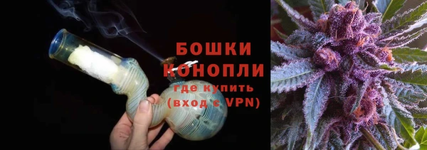 стаф Баксан