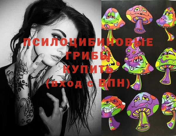 apvp Балабаново