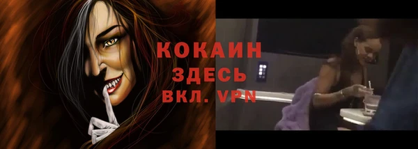 стаф Баксан