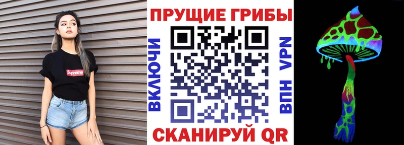 Галлюциногенные грибы Psilocybine cubensis  ссылка на мегу зеркало  Свирск 